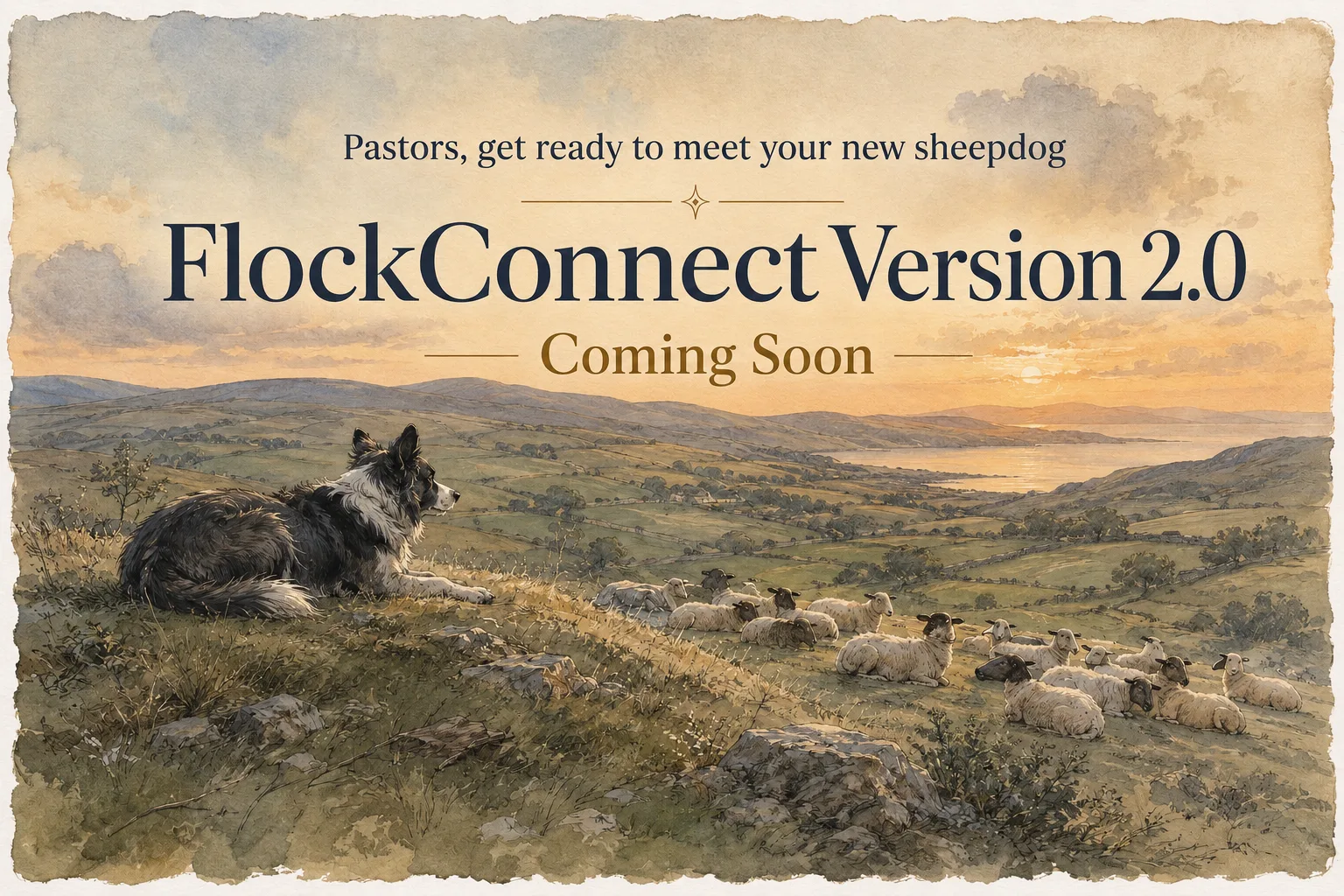 Watercolor of a border collie watching over a resting flock of sheep on a hillside at sunset, with the words 'Pastors, get ready to meet your new sheepdog. FlockConnect Version 2.0 — Coming Soon.'